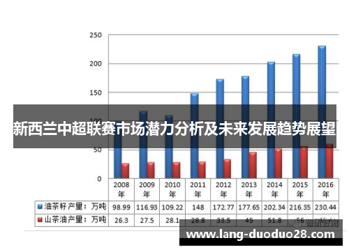 新西兰中超联赛市场潜力分析及未来发展趋势展望