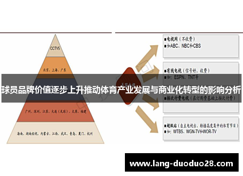 球员品牌价值逐步上升推动体育产业发展与商业化转型的影响分析