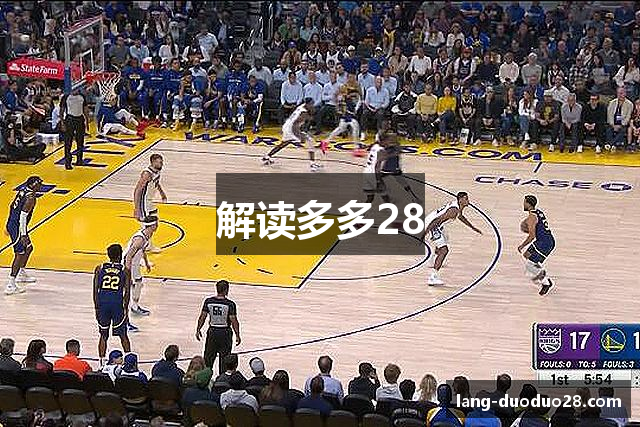 解读多多28